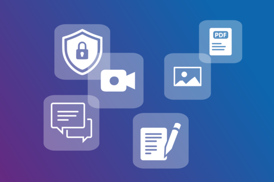 Icon software selection